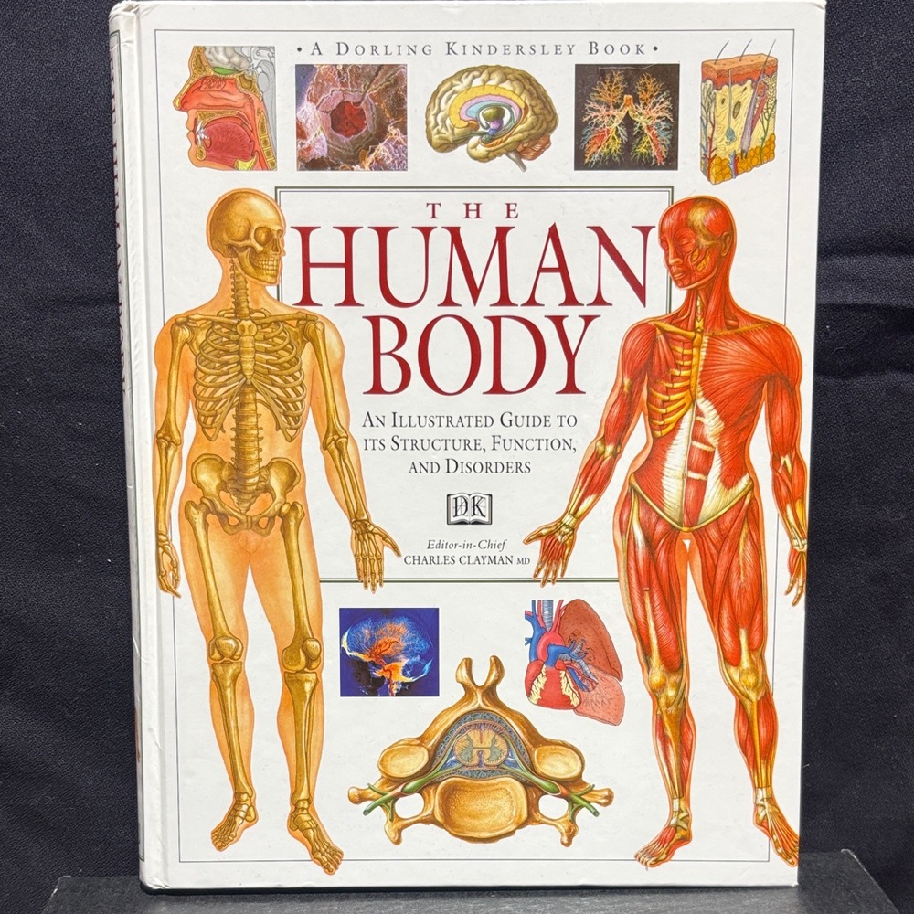 The Human Body Illustrated Guide - DK